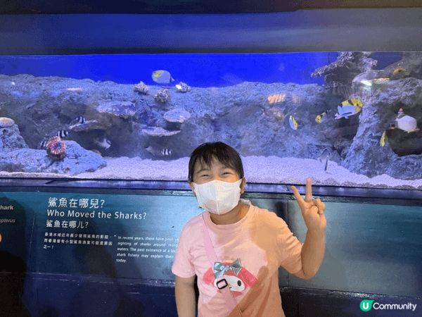 我喜歡去不同的地方打卡和享受香港嘅美食。當然有包括香港嘅地標...