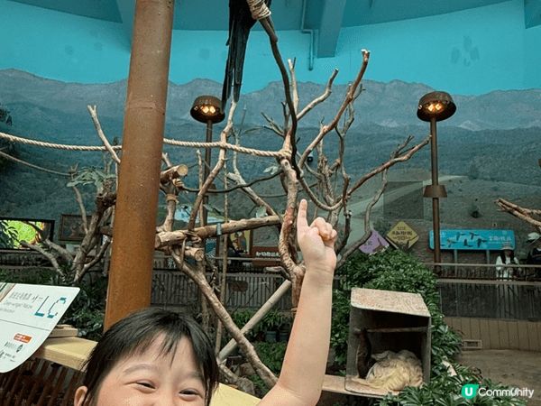 我喜歡去不同的地方打卡和享受香港嘅美食。當然有包括香港嘅地標...