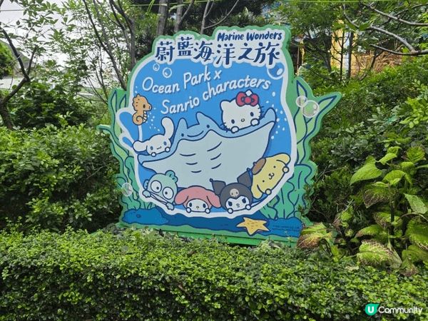 今個夏天我走進海洋公園，感覺就像進入了一個繽紛的派對世界。園...