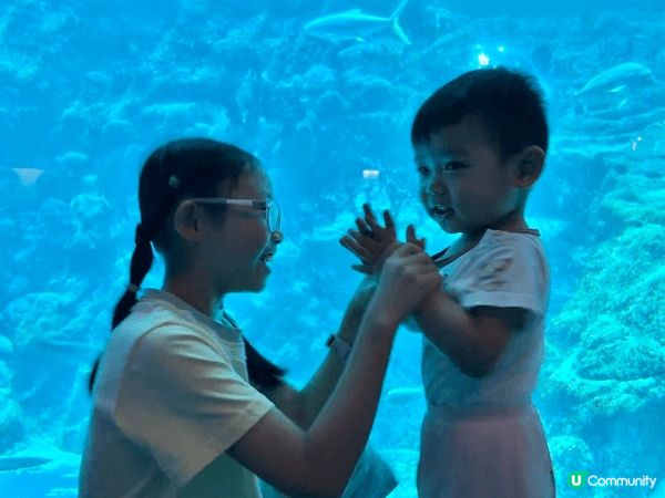 每年至少來兩三次海洋公園，帶小朋友遊玩自己小時候的樂園，小朋...