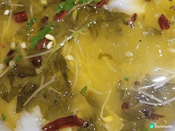 觀塘亞太中心極尚大贏喜刺身放題，旺角通菜街曼谷小館，太二老壇...