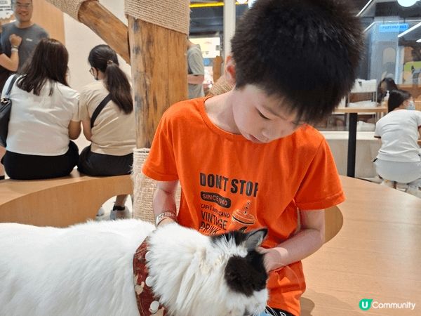 中國深圳寶安｜DX-PARK・地心公園｜潮玩運動街區·聚會·...