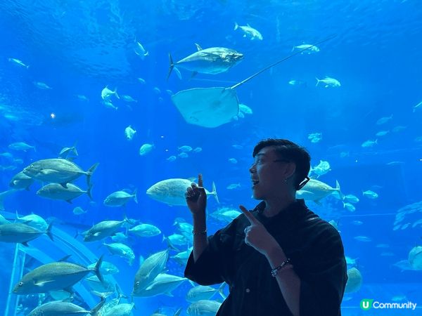 夏天一定唔少得陽光與海灘，講起陽光與海灘就會唸起沖繩，除左沖...