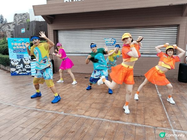 图一是：香港海洋公園特别活動「大貓熊慶生水花狂歡」