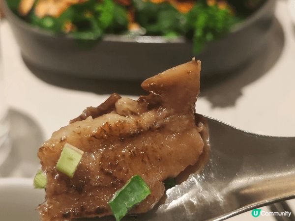 銅鑼灣時代廣場13樓嘅芽莊越式料理（Nha Trang），絕...