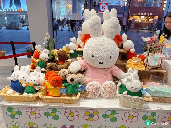 銅鑼灣wwwtc mall 最近有日本花藝主題品牌 Flow...