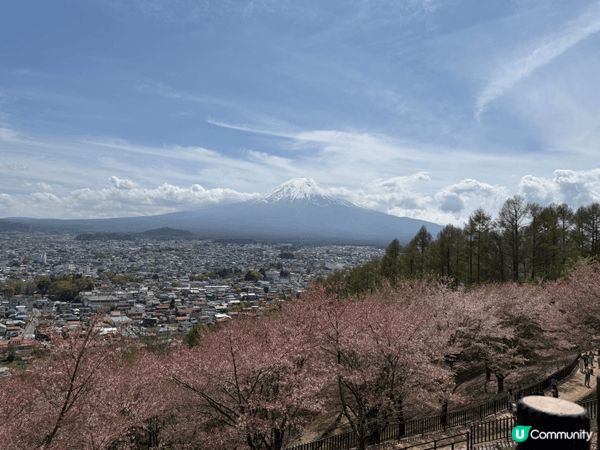 天朗氣清又適逢櫻花季節，幸運地遇見富士山的出現，趕緊拍下這樣...