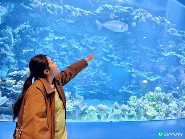 香港水族館，提早俾小朋友認識更多不同的動物