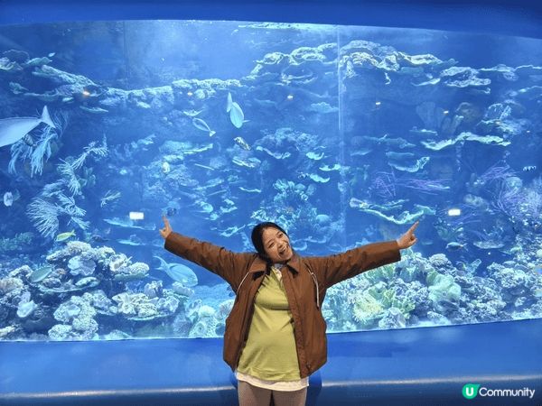香港水族館，提早俾小朋友認識更多不同的動物