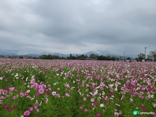 沒原因