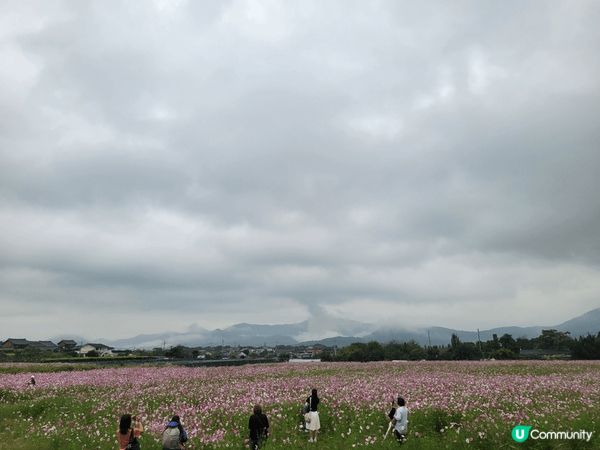 沒原因