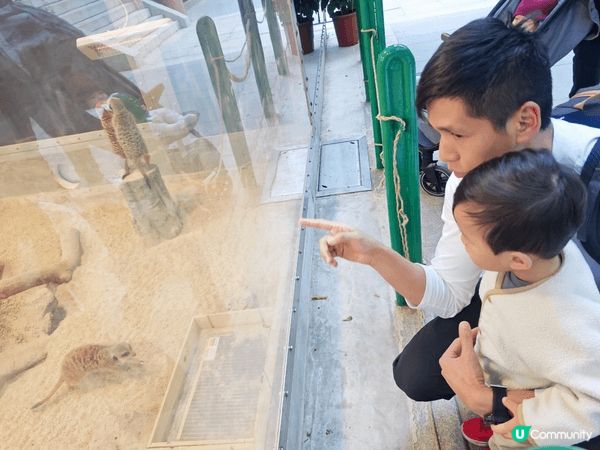香港動植物公園，絕對係親子好去處！呢度集齊動物園（有水獺、狐...