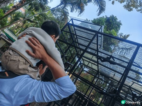 香港動植物公園，絕對係親子好去處！呢度集齊動物園（有水獺、狐...