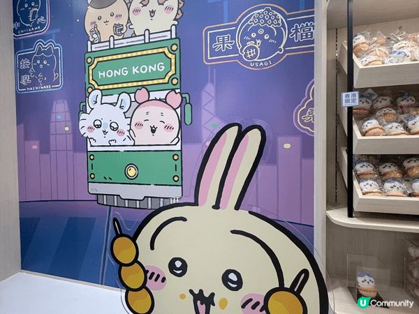 我第一次見兔兔係商場夾公仔，有個男仔拎住. Usagi 個樣...