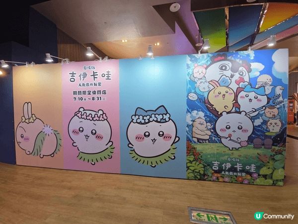 ​今次同大家分享嘅相片，清一色全部都係我最愛嘅「兔兔」公仔！...
