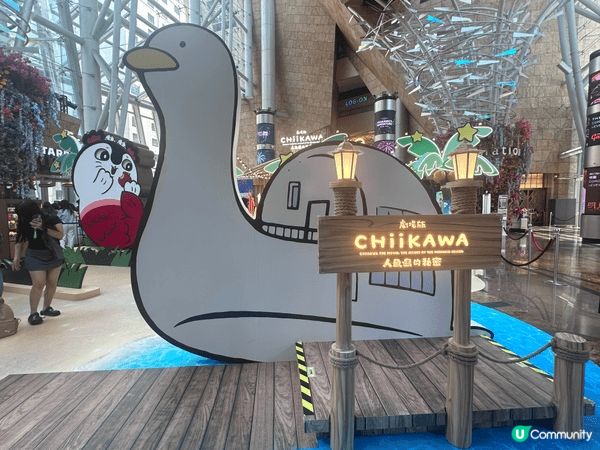 2026年一轉眼就已經去到8月。