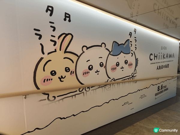 兔哥真係好可愛。又嘈又活躍。夠勇敢。原本都未入杭，係身邊朋友...