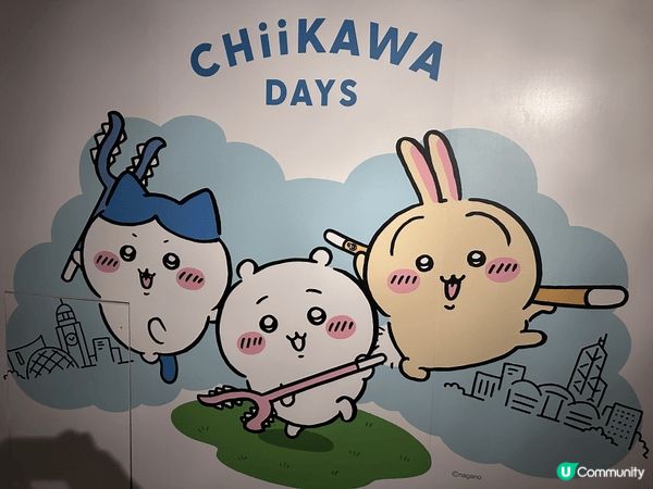 兔兔真係好得意