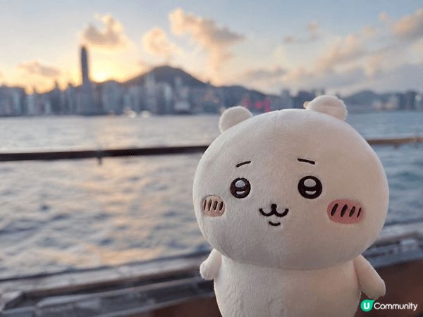 其實一開始完全唔覺得自己會鍾意公仔。有日放工經過夾公仔舖，本...