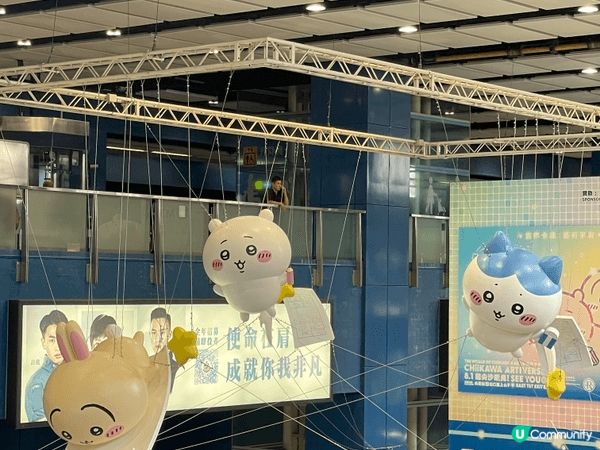 最近每日都為Chiikawa 電影週邊忙，幾乎每日生活都係圍...