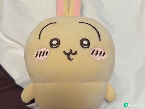 我最鐘意Usagi，因為佢性格太自由奔放，無論發生什麼事，都...