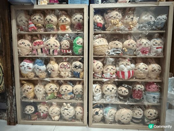 入坑嘅原因係陪朋友五歲嘅女睇Chiikawa嘅動畫，睇完之後...