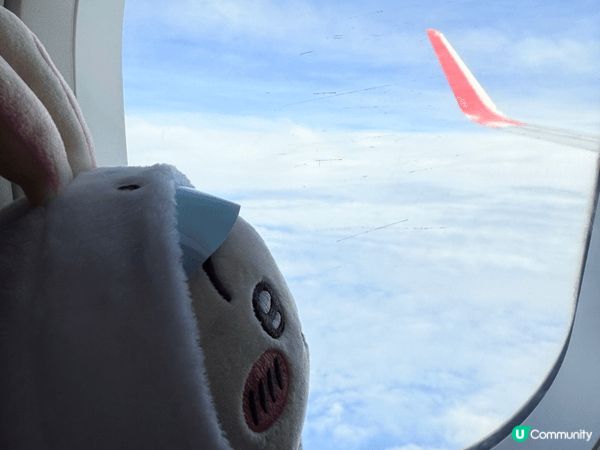 入坑嘅原因係陪朋友五歲嘅女睇Chiikawa嘅動畫，睇完之後...
