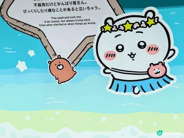 新品情報