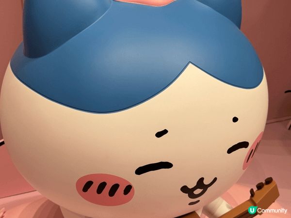 最鐘意一定係小八！簡直神隊友擔當～對朋友好到無話可說！將朋友...