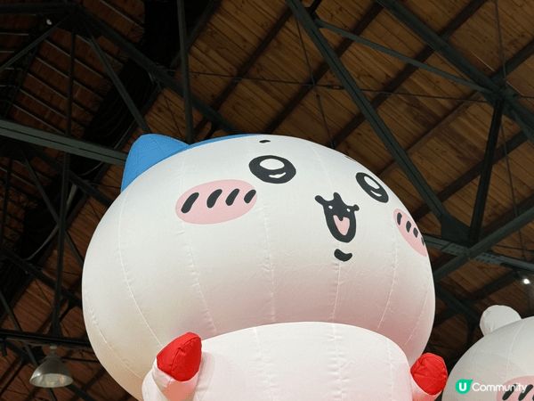 最鐘意一定係小八！簡直神隊友擔當～對朋友好到無話可說！將朋友...