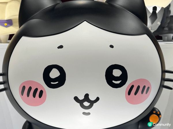 最鐘意一定係小八！簡直神隊友擔當～對朋友好到無話可說！將朋友...