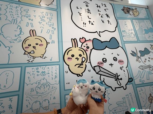 入坑Chiikawa好一段時間了，最鍾意嘅角色係小八！佢雖然...
