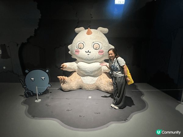 呢張相係喺台灣嘅 CHIIKAWA DAYS 台北特展影嘅！...