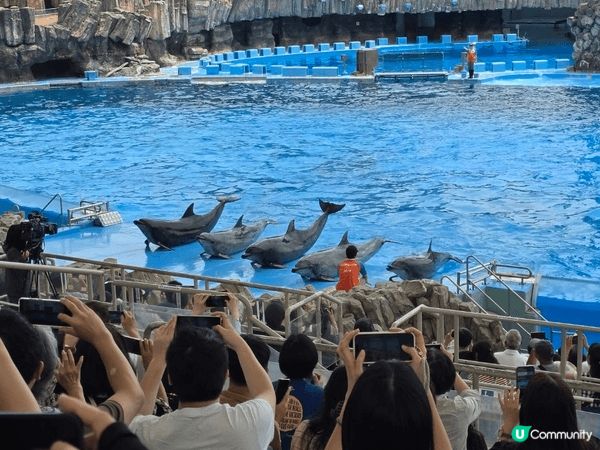 名古屋水族館親子行程可安排得井然有序。早上先到主館欣賞巨型水...