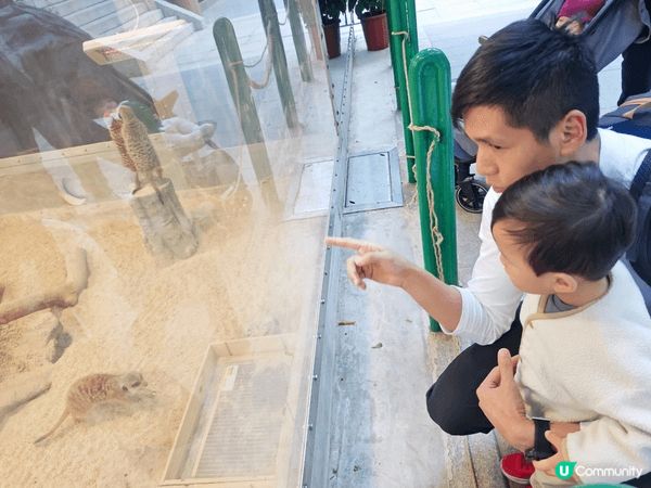 香港動植物公園，絕對係親子好去處！呢度集齊動物園（有水獺、狐...