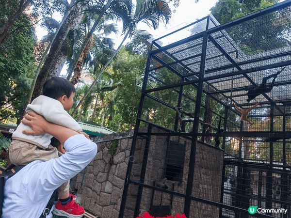 香港動植物公園，絕對係親子好去處！呢度集齊動物園（有水獺、狐...