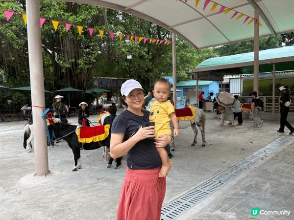 深圳動物園可以帶小朋友認識動物