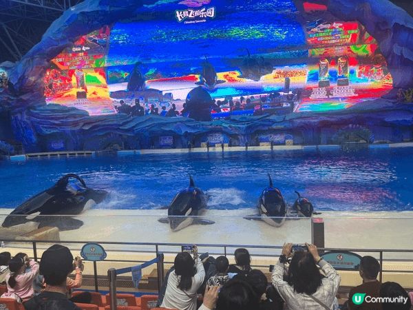 長隆飛船樂園，帶小孩消暑好地方，因為是室內遊樂園