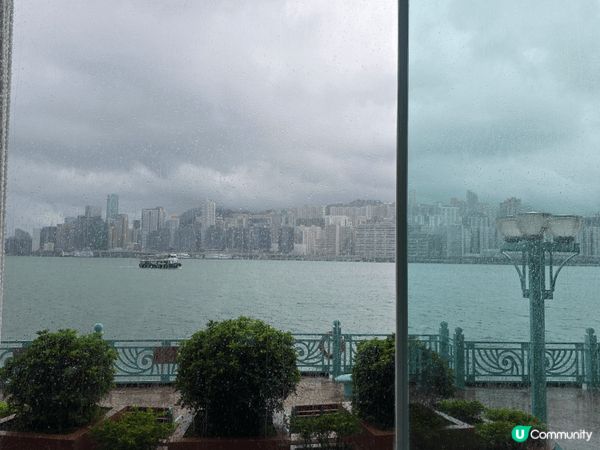 自助餐有齊生蠔，海鮮各國美食，長腳蟹啖啖肉好鮮味，多款甜品自...