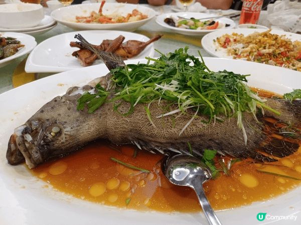 荃灣龍廷粵菜館／位置就響荃灣楊屋道街市隔離／可以自帶海鮮加，...
