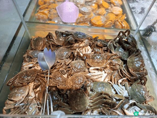 ✨深圳東門領鮮活海鮮榴槤自助火鍋餐廳食評分享😍榴槤控必訪餐廳...