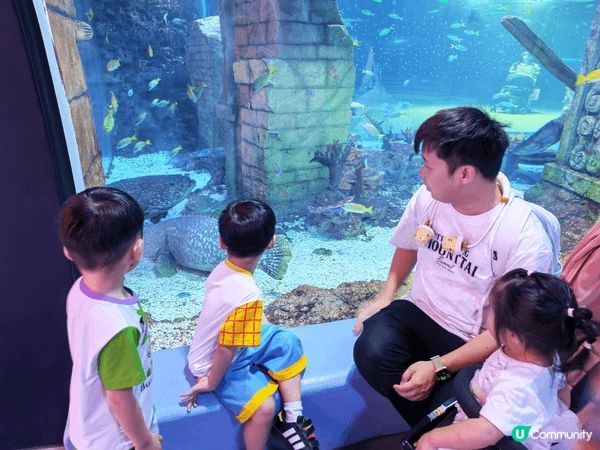 今個夏日帶左小朋友去深圳恆遠海立方海洋館