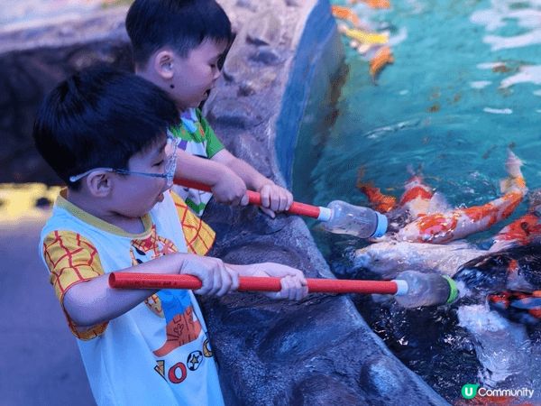 今個夏日帶左小朋友去深圳恆遠海立方海洋館