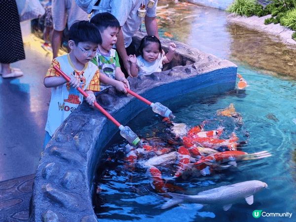 今個夏日帶左小朋友去深圳恆遠海立方海洋館