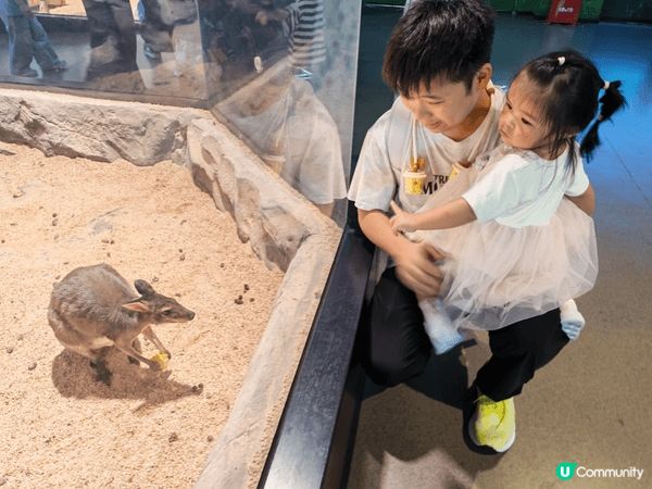 今個夏日帶左小朋友去深圳恆遠海立方海洋館