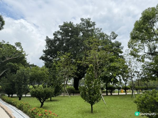 有空北上到廣州吃下野，飲杯野，放鬆一下，再次努力工作