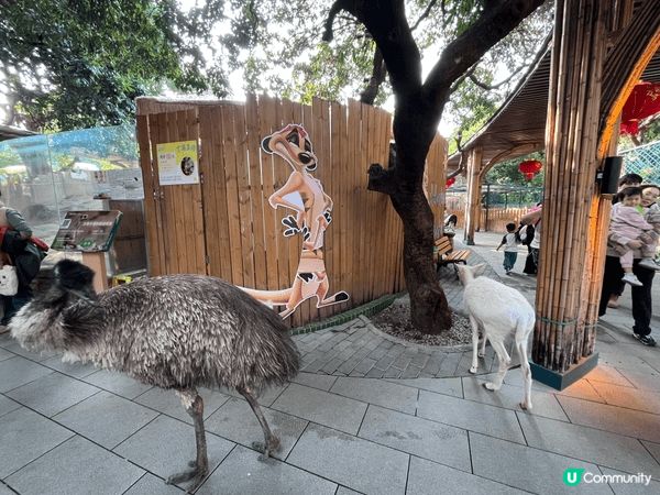 深圳世界之窗的WOWO窩窩萌寵森友會，呢度很多可愛動物（鴕鳥...