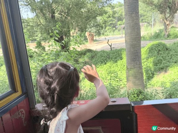 今年暑假去咗清遠長隆玩動物園同埋水上樂園，渡過一個非常難忘又...