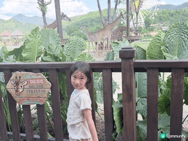 今年暑假去咗清遠長隆玩動物園同埋水上樂園，渡過一個非常難忘又...