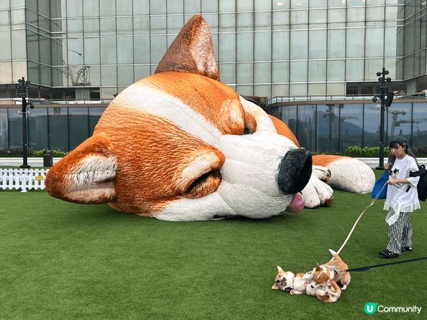 🐱 MegaBox 巨型貓貓 3D 畫為咩去？：幅畫足足 5...